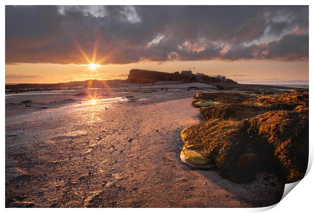 Splash of Light on Hilbre Island, Wirral Print by Liam Neon