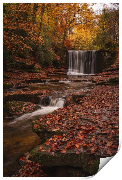 Nant Mill Waterfall Print by Liam Neon