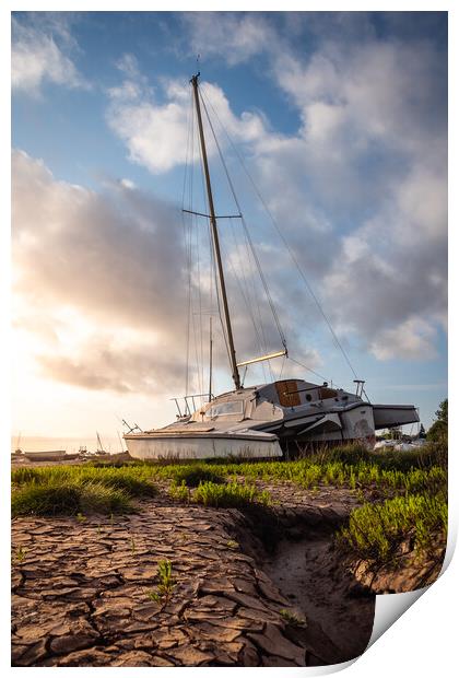 Catamaran High and Dry at Lower Heswall Shore  Print by Liam Neon