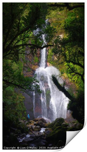Waterfall in Dusky Sound, New Zealand Print by Liam Neon