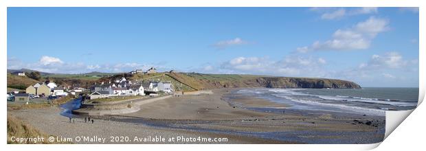 Aberdaron in the February Sun Print by Liam Neon