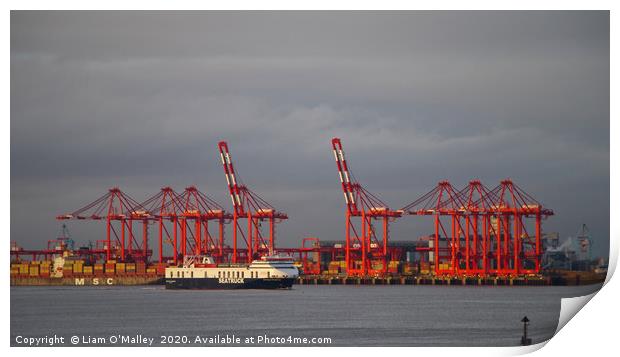 Red Cranes at the Port of Liverpool Print by Liam Neon