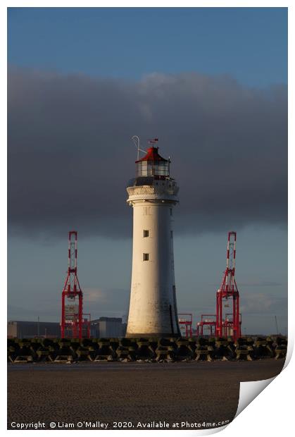 New Brighton Lighthouse and Liverpool Cranes Print by Liam Neon