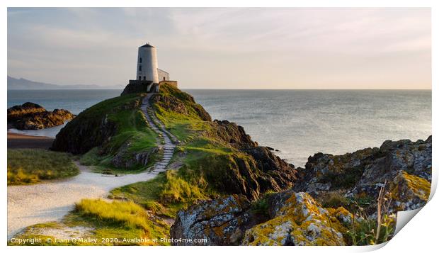 Twr Mawr Goldenhour Lighthouse on Anglesey Print by Liam Neon