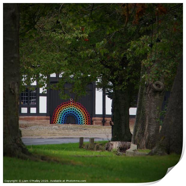 Smithy Rainbow through the Trees Print by Liam Neon