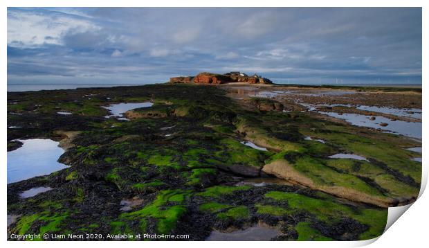 Hilbre on the Rocks Print by Liam Neon
