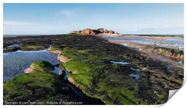 Hilbre Island Rockpools, Wirral Print by Liam Neon