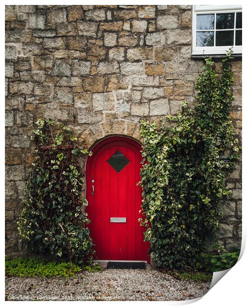 The Red Door Print by Liam Neon