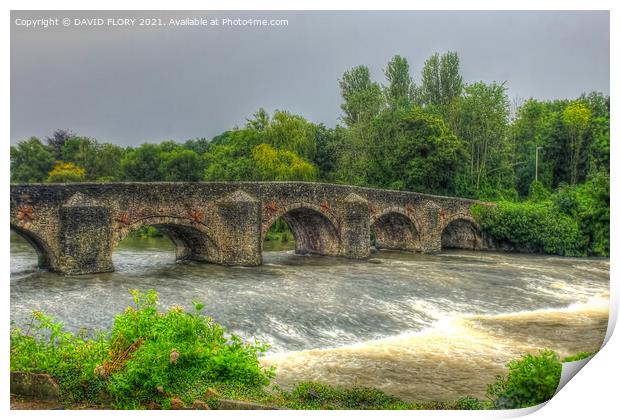 Bickleigh Bridge Print by DAVID FLORY