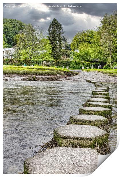 Stepping Stones Print by DAVID FLORY