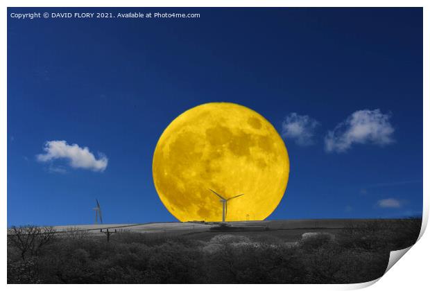 Flower Moon Print by DAVID FLORY