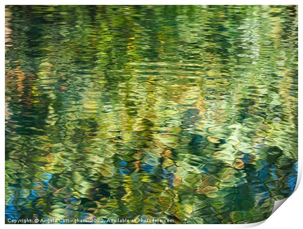 Reflections in a pond Print by Angela Cottingham