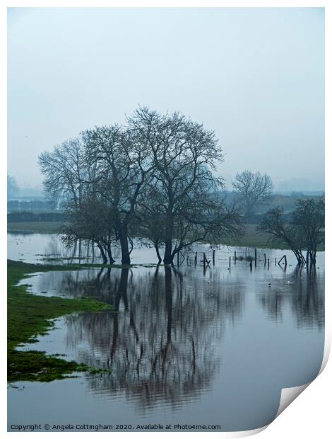 Reflected Trees Print by Angela Cottingham