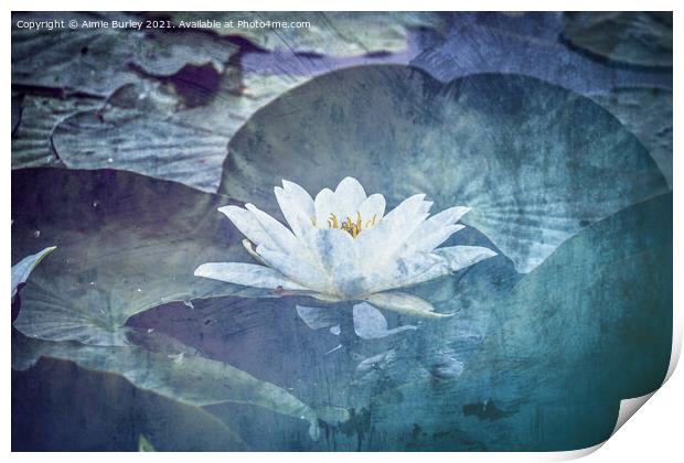 Serenity Blooms Print by Aimie Burley