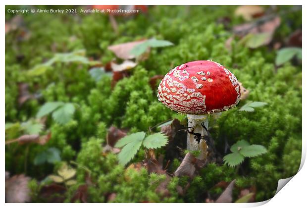 Fly Agaric in Moss Print by Aimie Burley