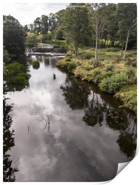 River Aln, Alnwick Print by Aimie Burley
