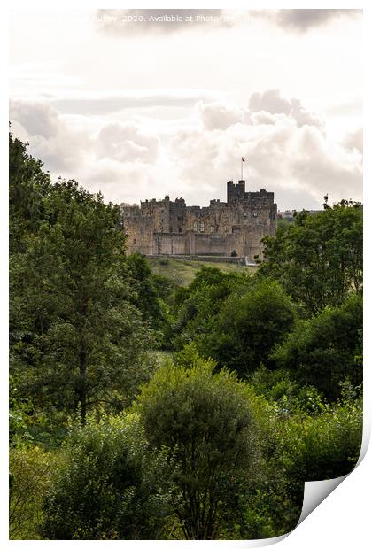 Alnwick Castle Print by Aimie Burley