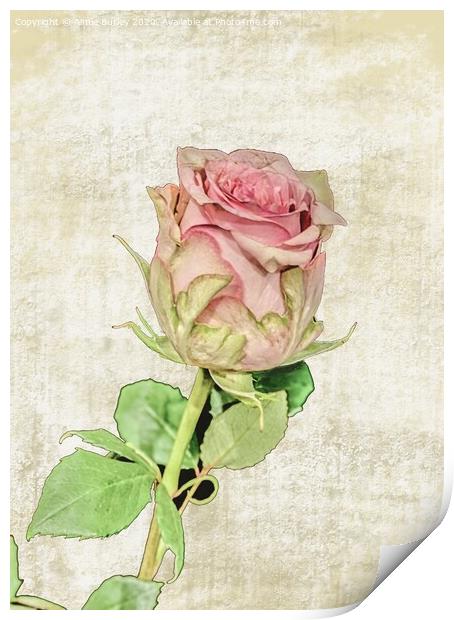 Painted Rose Print by Aimie Burley