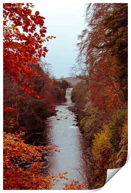 High Force Waterfall in Autumn  Print by Aimie Burley