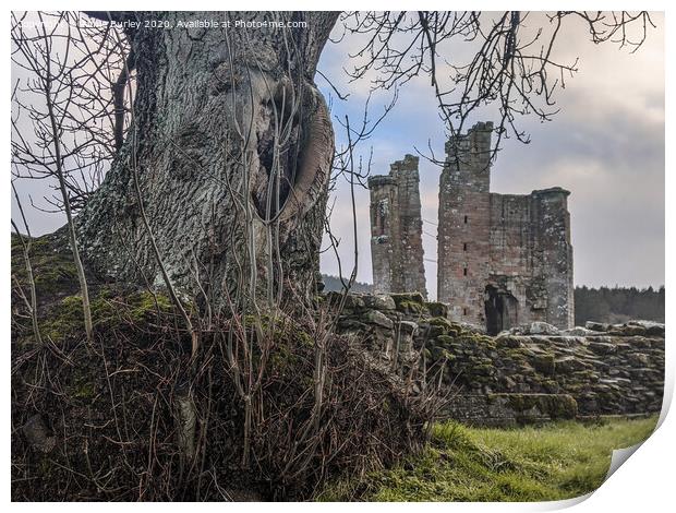 Tree and Castle   Print by Aimie Burley