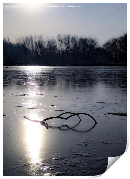 Frozen lake Print by Aimie Burley