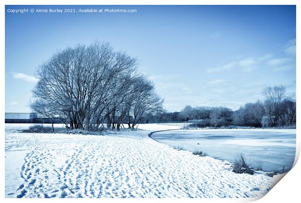 Frosty landscape Print by Aimie Burley