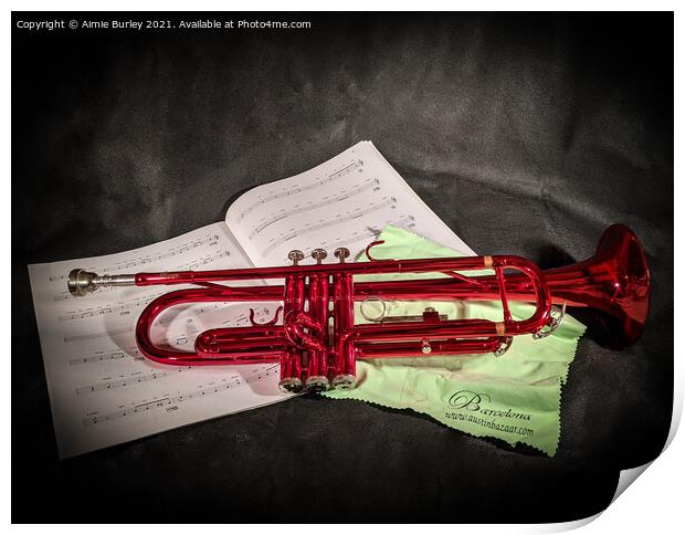 The Red trumpet  Print by Aimie Burley