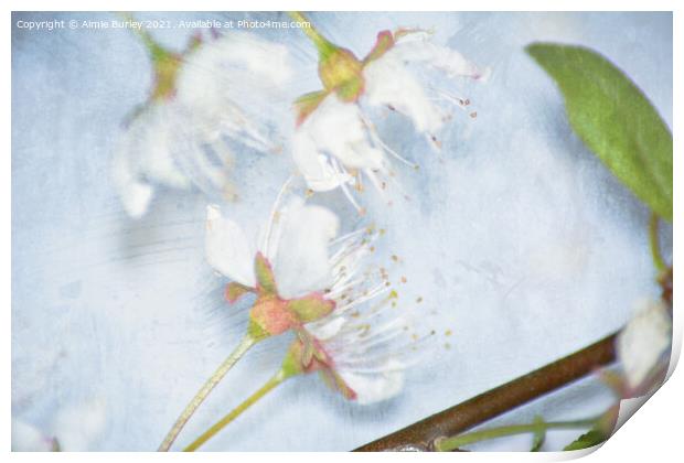 Blossom close up Print by Aimie Burley
