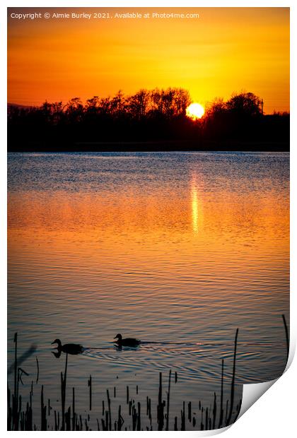 Ducks at sunset Print by Aimie Burley