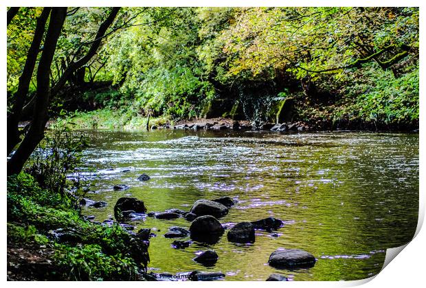 Autumn river Print by Liam Thompson