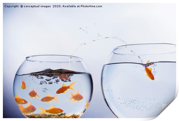 A Goldfish jumping out of a small crowded bowl  Print by conceptual images