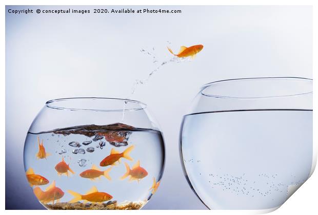 A Goldfish jumping out of a small crowded bowl  Print by conceptual images