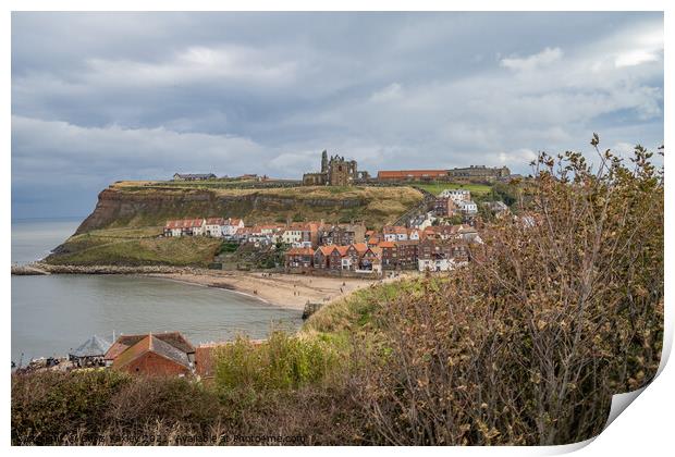 A view over Whitby Bay, North Yorkshire Print by Chris Yaxley