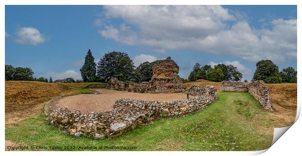 360 panorama of North Elmham Chapel, Norfolk Print by Chris Yaxley