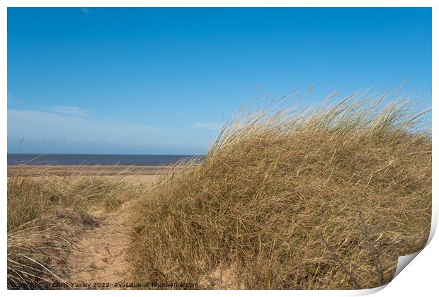 Hunstanton beach on the North Norfolk coast Print by Chris Yaxley