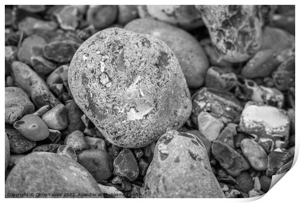 Rock on pebble beach Print by Chris Yaxley