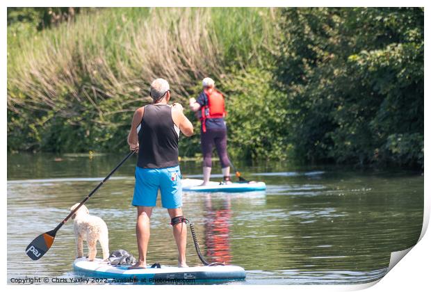 Paddle boarding with pooch Print by Chris Yaxley