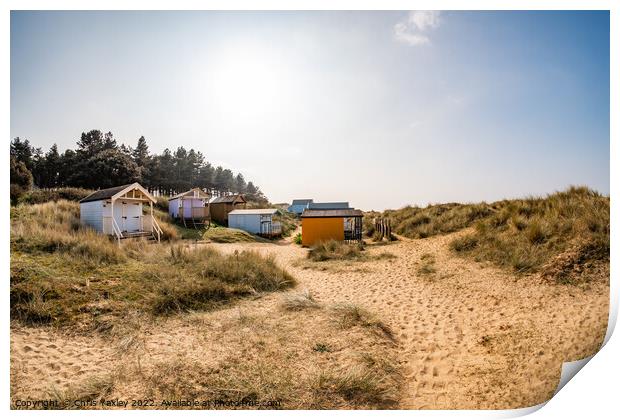 Hunstanton beach huts Print by Chris Yaxley