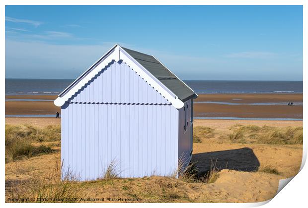  Traditional wooden beach hut Print by Chris Yaxley