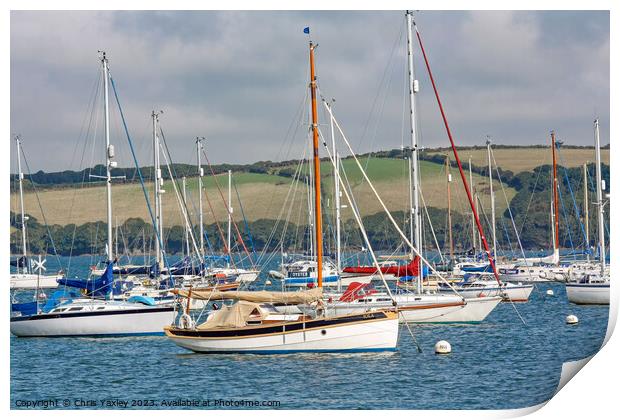 Cornish sailboats Print by Chris Yaxley