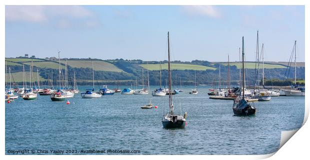 View across the River Camel, Cornwall Print by Chris Yaxley