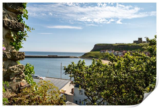 A high up view over Whitby harbour Print by Chris Yaxley