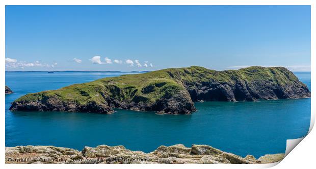 The island of Ynys Bery on the Welsh coast Print by Chris Yaxley