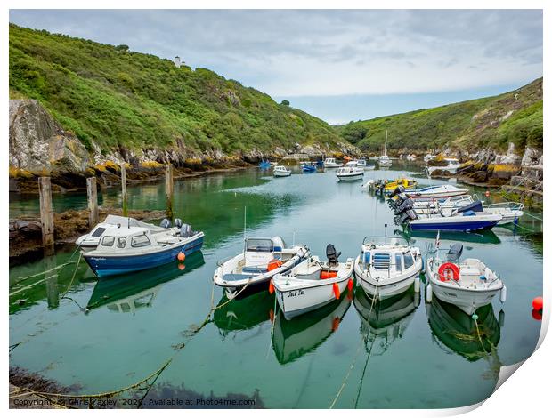 Boats in the harbour at Porthclais Print by Chris Yaxley