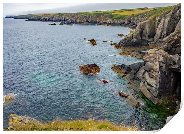 Looking down over St Non's Bay, Pembrokeshire Print by Chris Yaxley