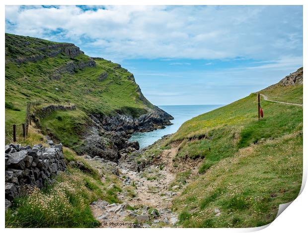 The path to Mewslade Bay in the Gower Peninsula Print by Chris Yaxley