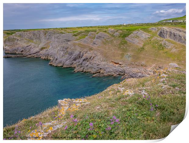 Mewslade Bay on the Gower Way, South Wales Print by Chris Yaxley