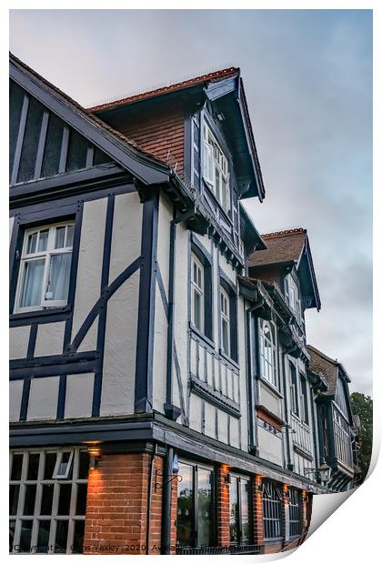 Horning Swan Inn, Norfolk Broads Print by Chris Yaxley