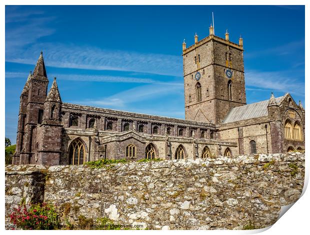 St Davids Cathedral, St Davids, South Wales Print by Chris Yaxley