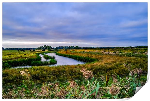 Flat marshes and grazing land, Norfolk Print by Chris Yaxley